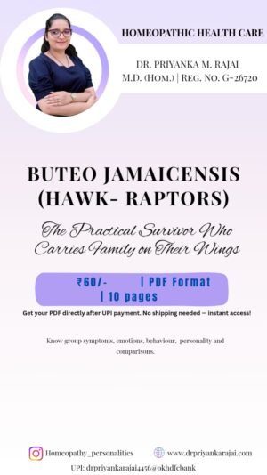 BUTEO JAMAICENSIS - HAWK